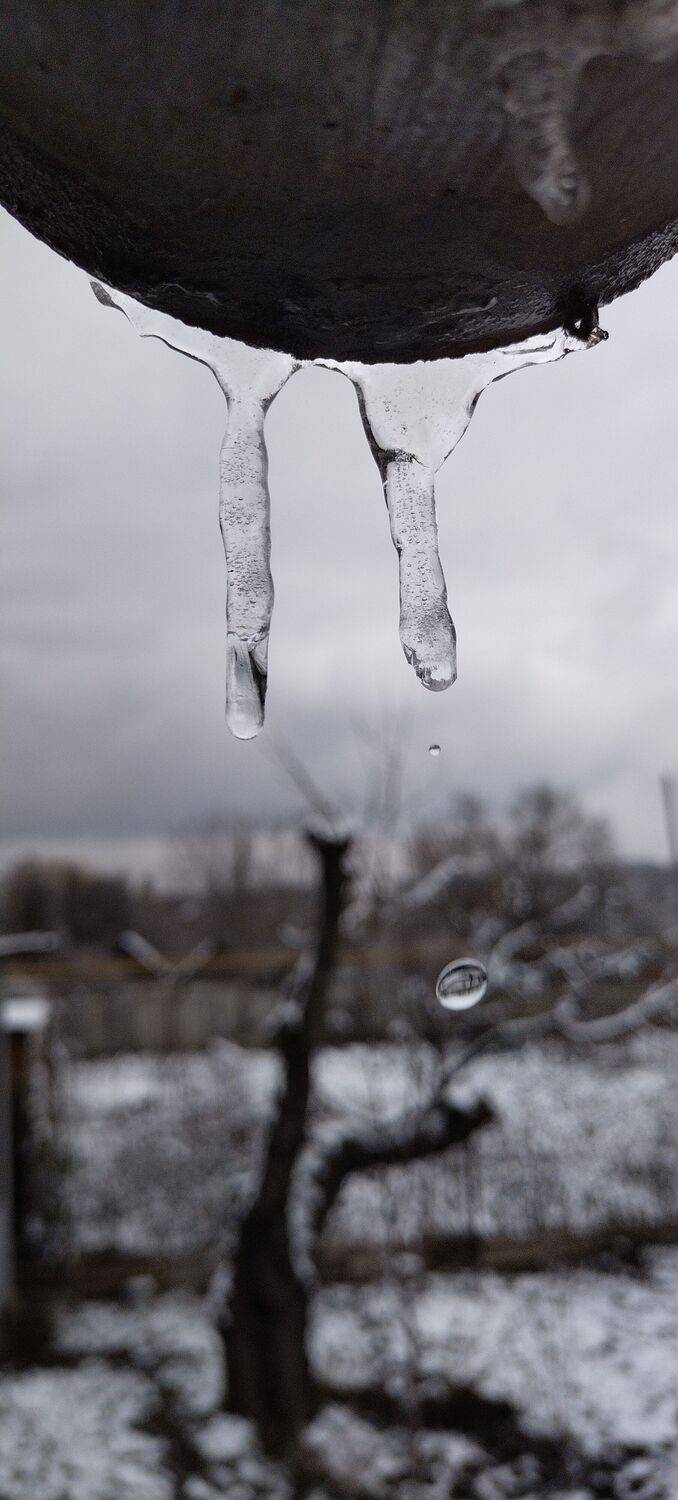 Photo #13583109