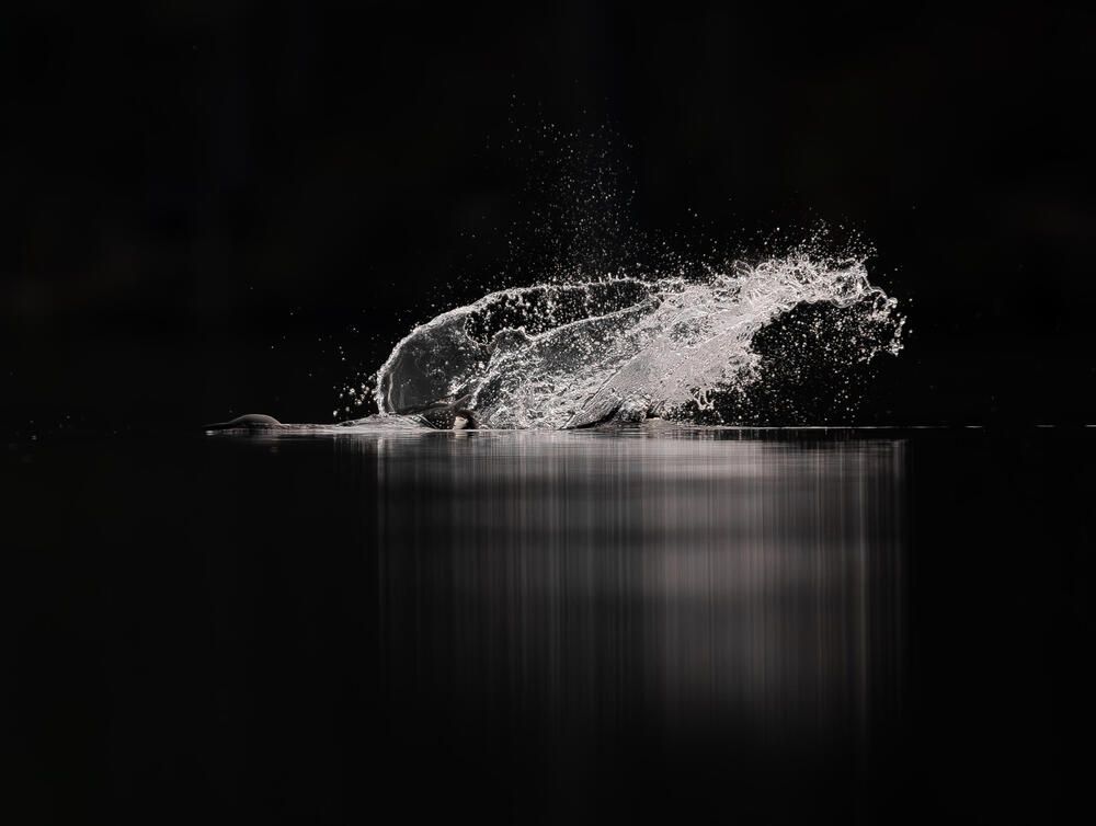 Photograph by Александр Белов