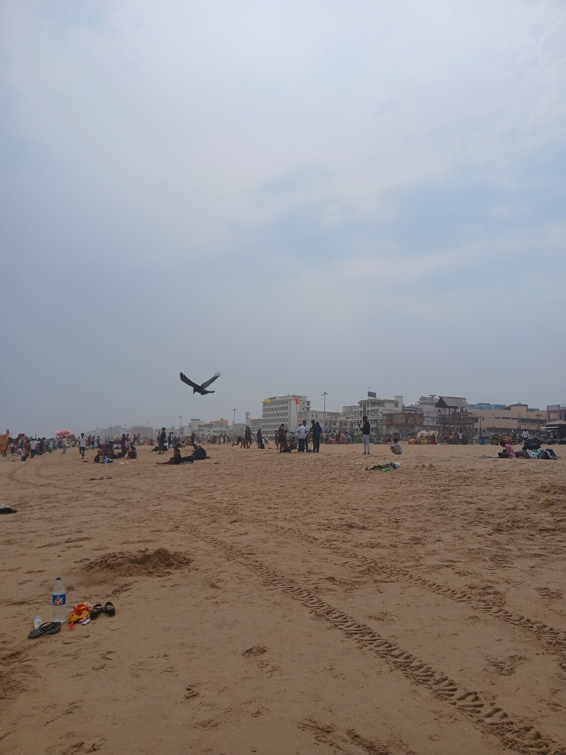 Photo #13583151