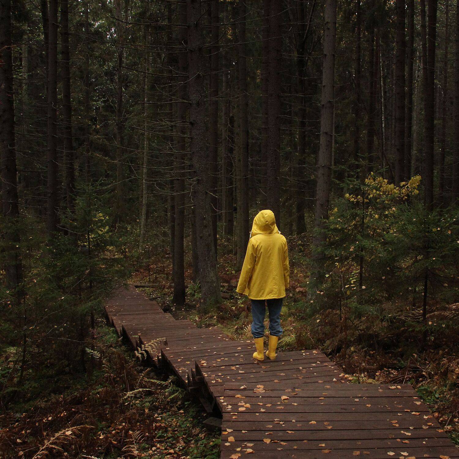Photo #13583215