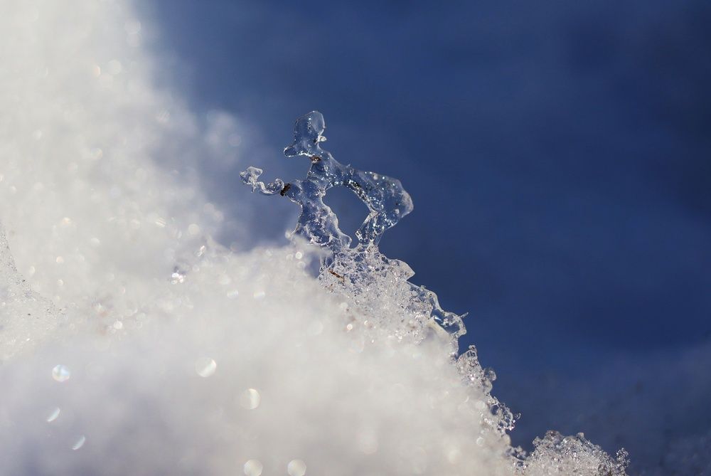 Photograph by Алена Марченко