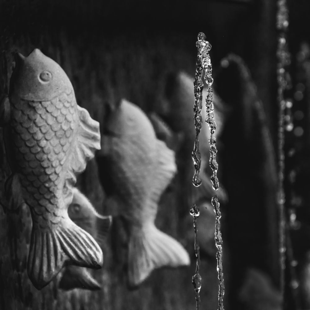 Photograph by Анна Стрелковская