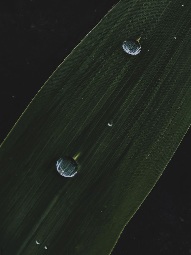 Photograph by Наталья Чурашова