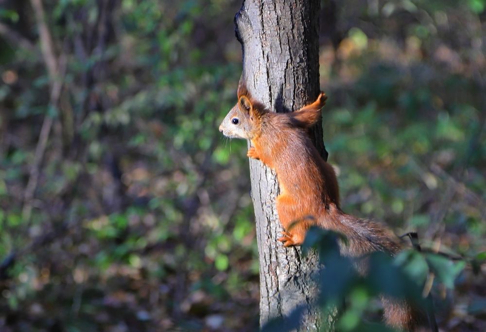 Photograph by Мария Андреева