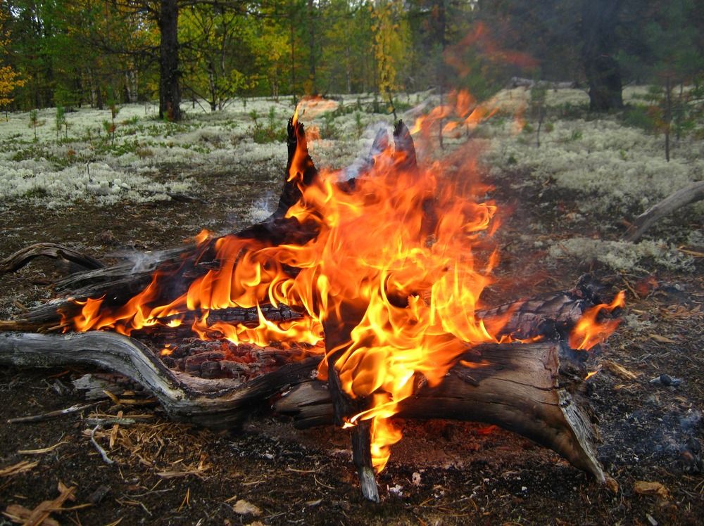 Photograph by геннадий лалаев