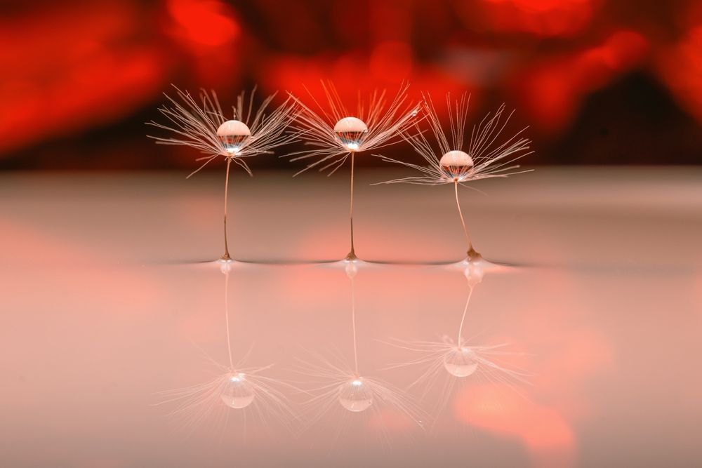 Photograph by Kveta Novotna