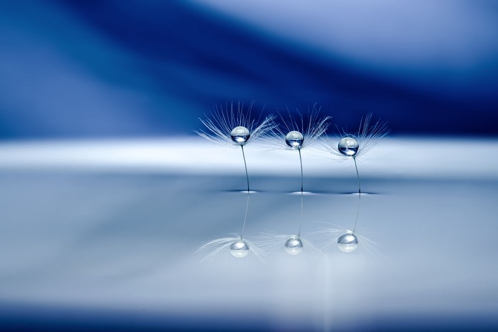 Photograph by Kveta Novotna