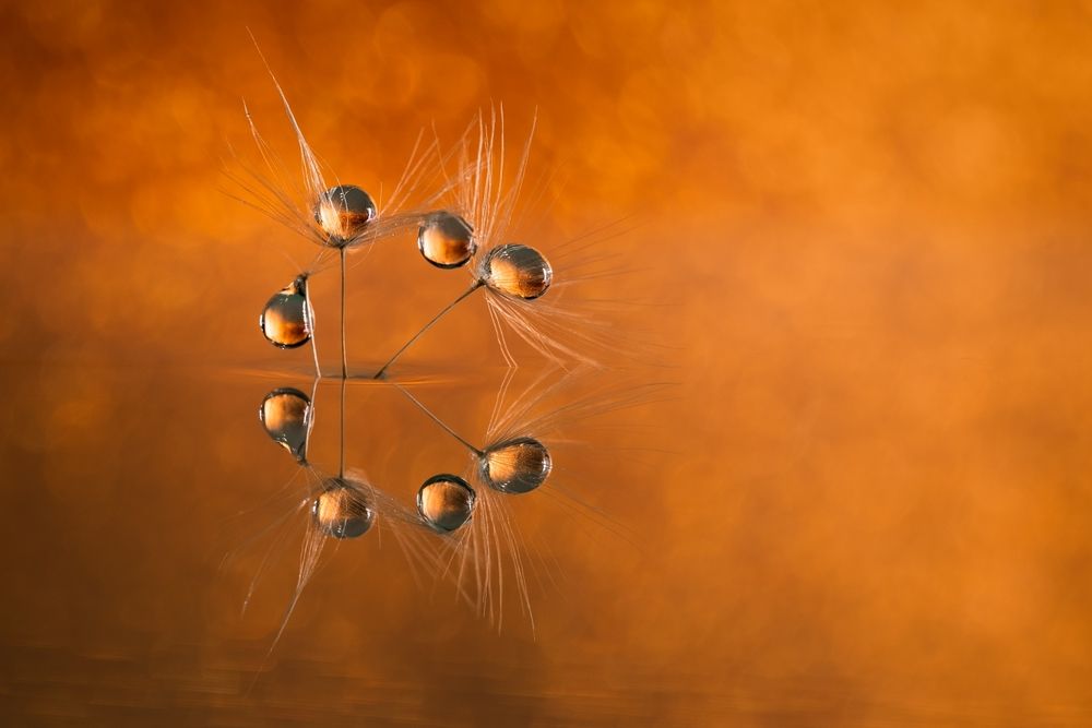 Photograph by Kveta Novotna