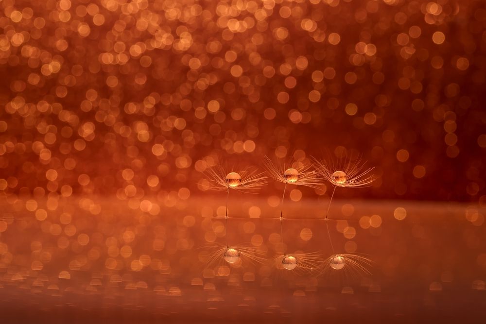 Photograph by Kveta Novotna