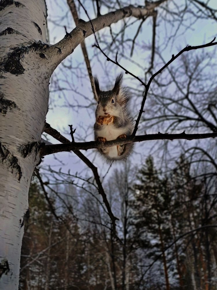 Photograph by Алена Марченко