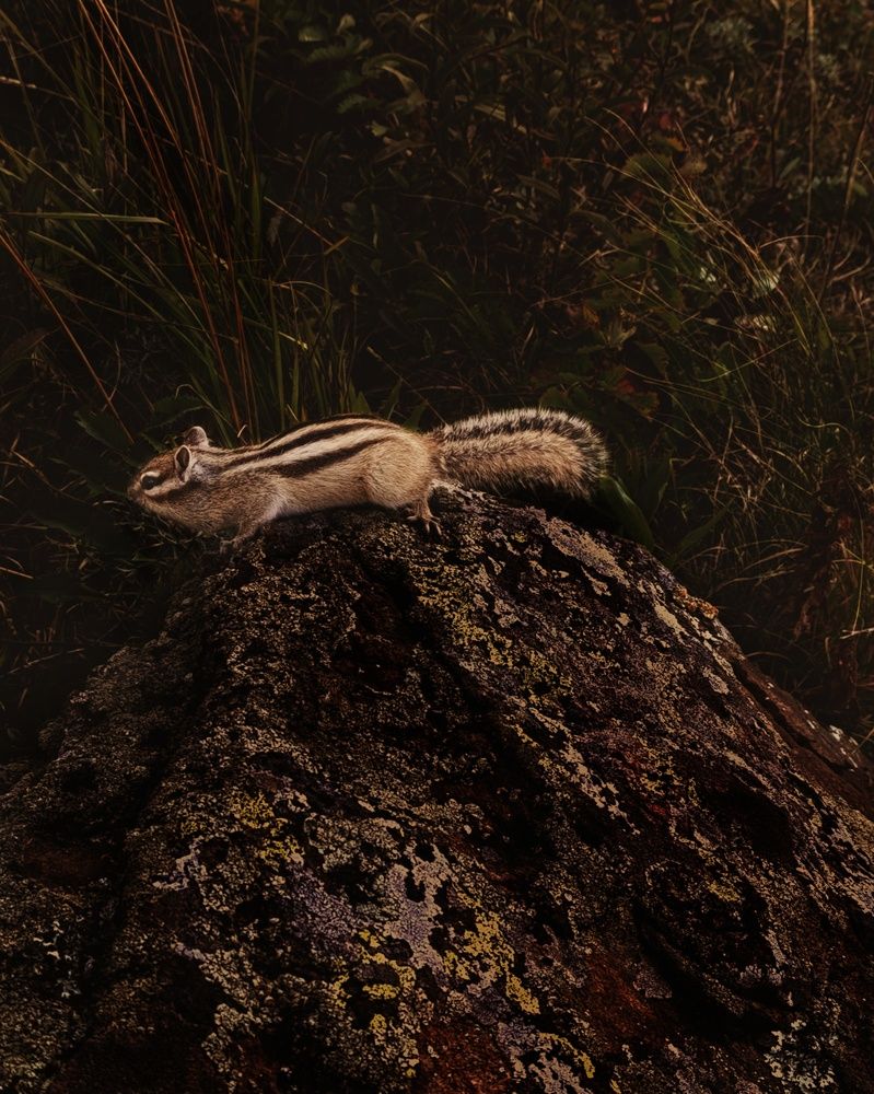 Photograph by Алена Марченко