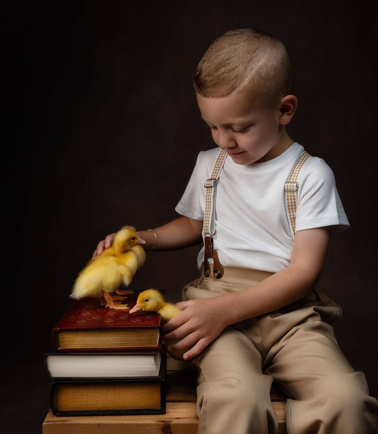 “The Softest Lessons”