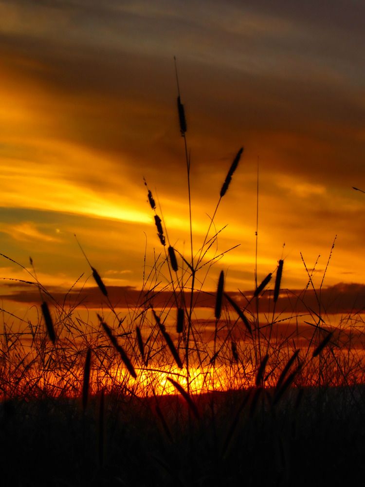 Photograph by ADERLANDIA SALOMAO
