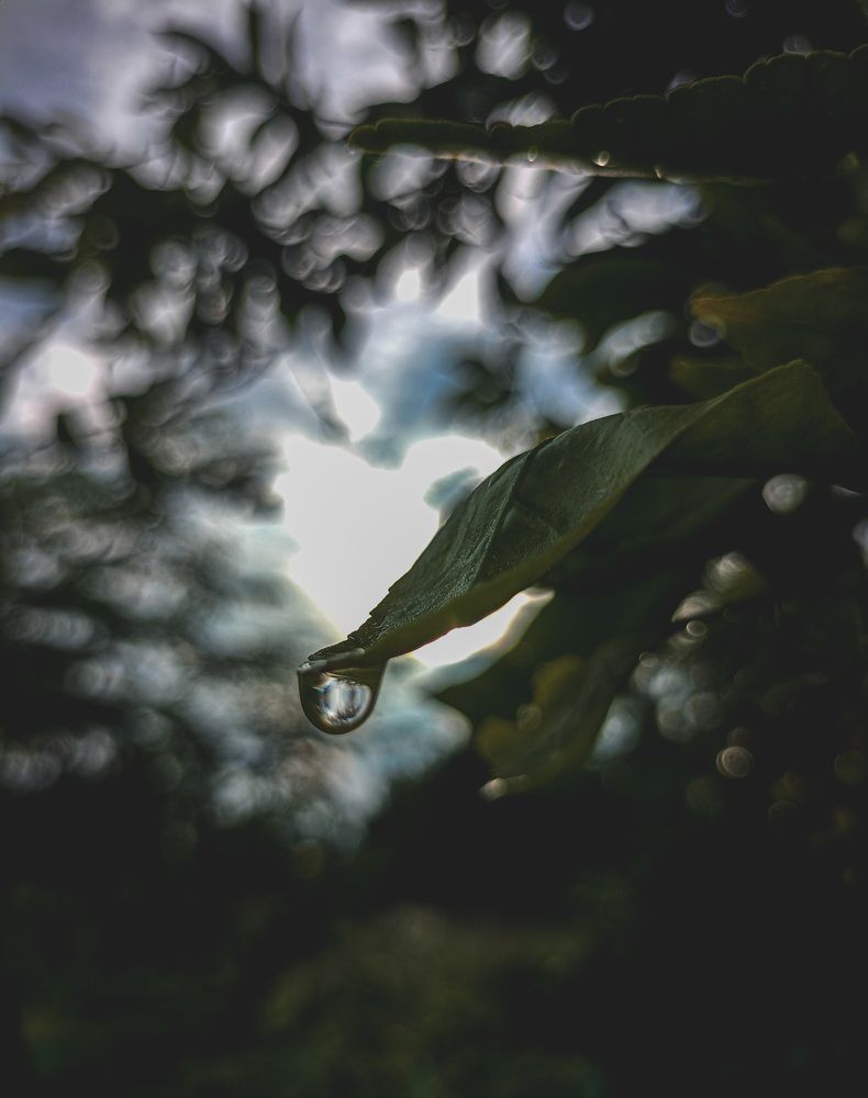 Photograph by RITIK RAJ