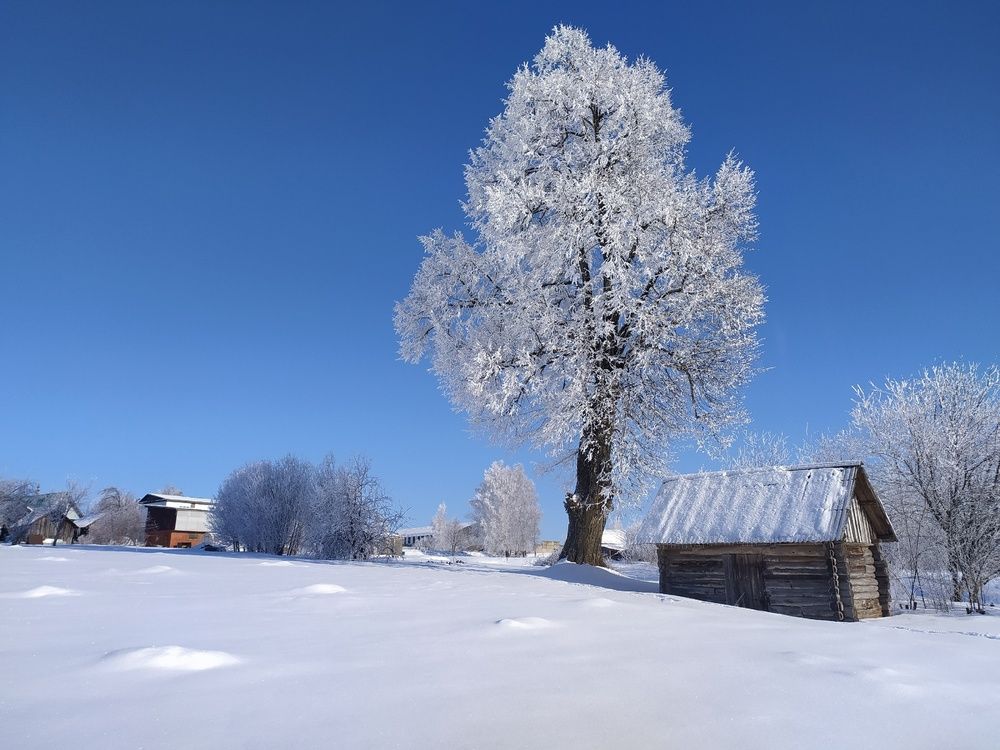 Фотография автора Юрий Гордеев
