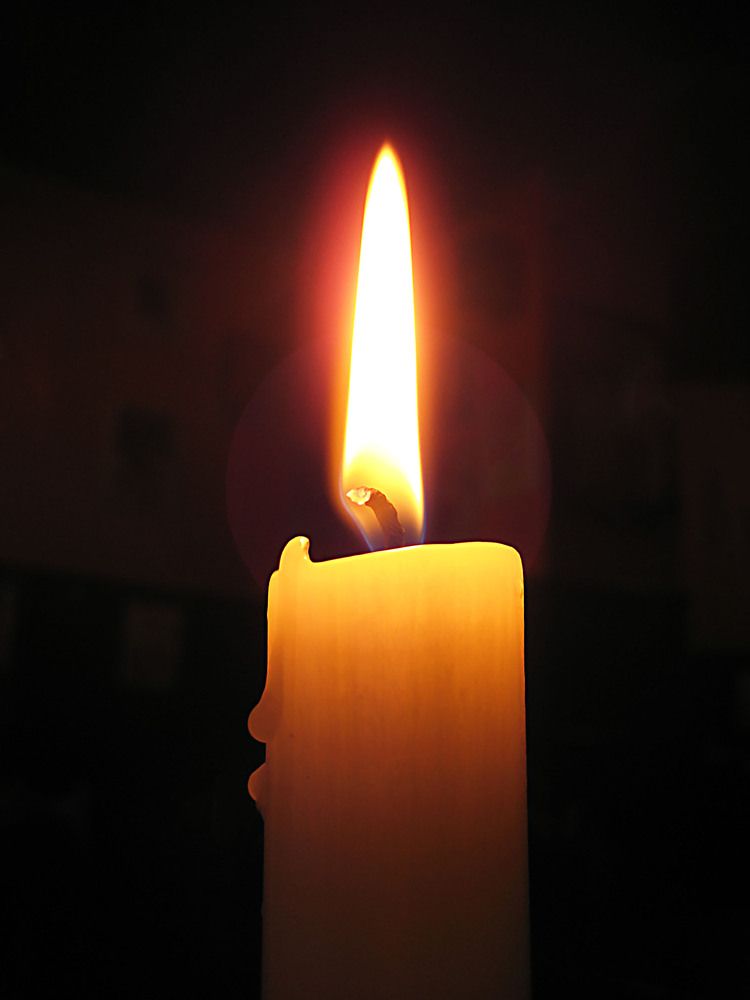 Photo #13584925