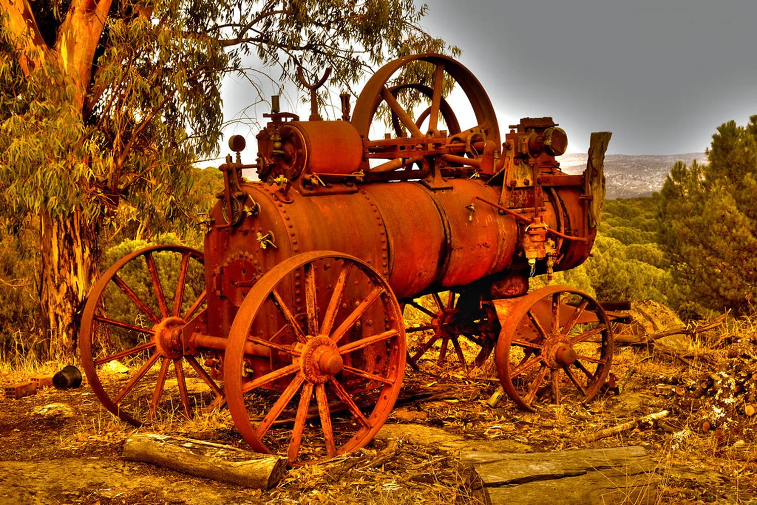 Locomotora