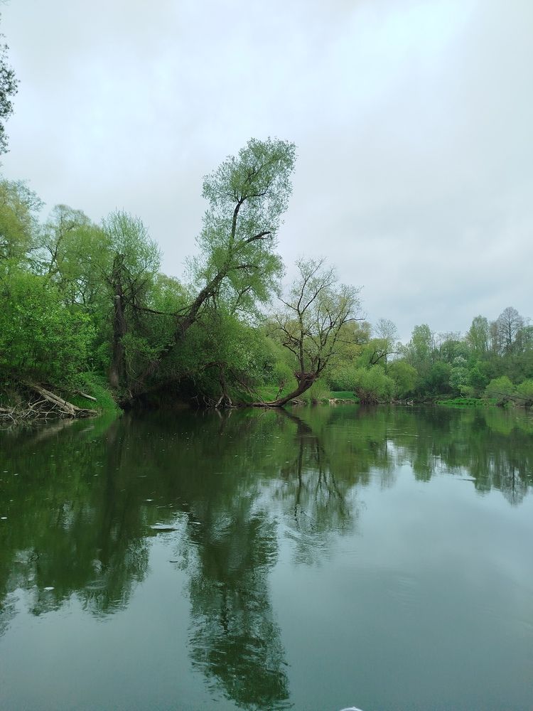 Photograph by Евгения Семёнова