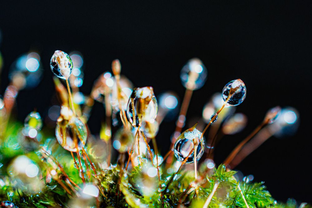Photograph by Dyeyou
