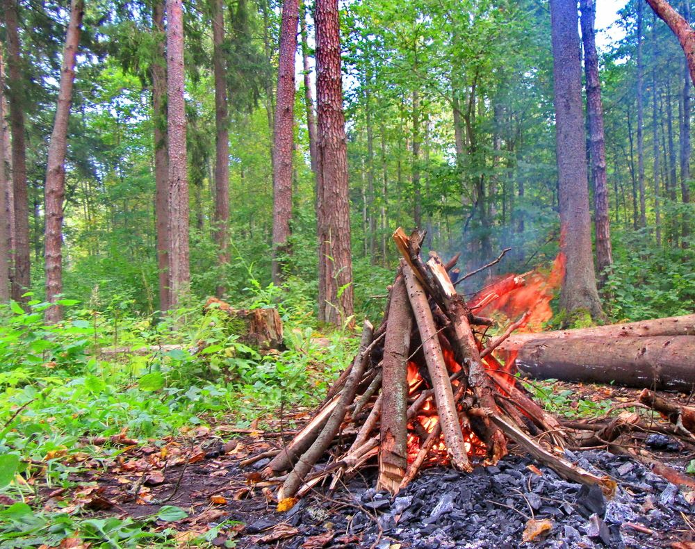 Photograph by Виталий Симоненков