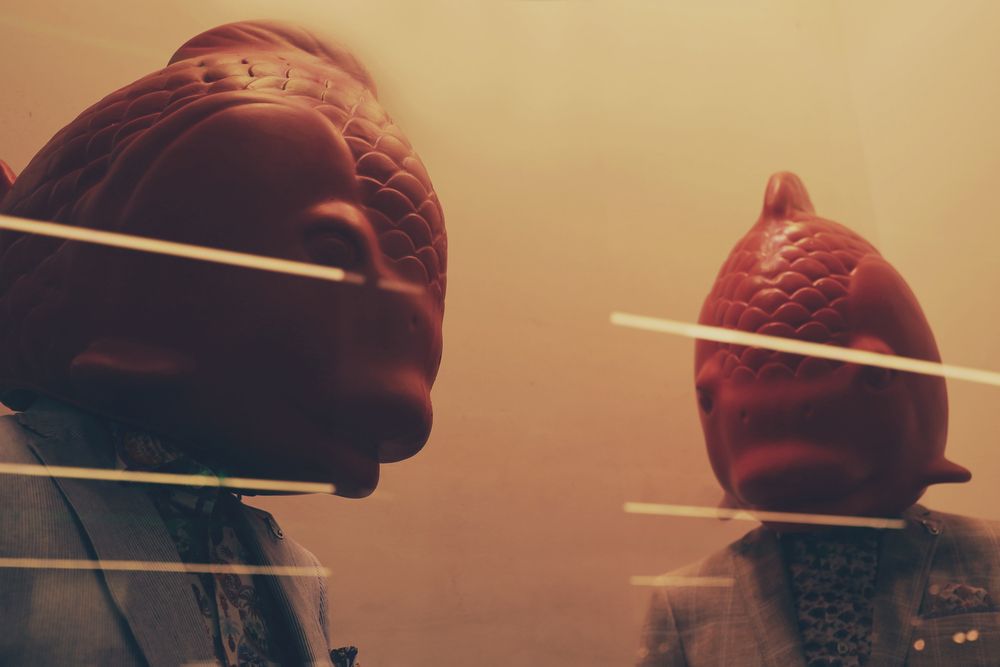 Photograph by Mila Nikolova