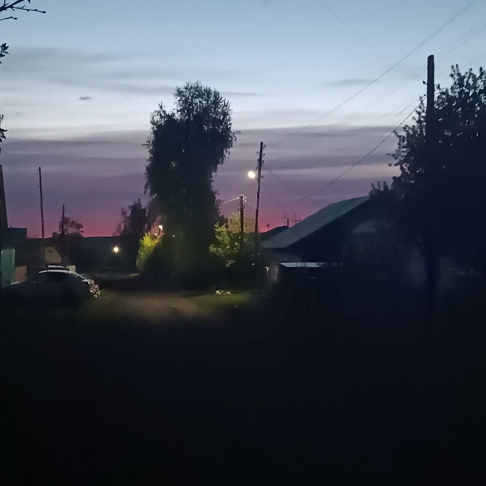 Фотография автора Елена Колышева