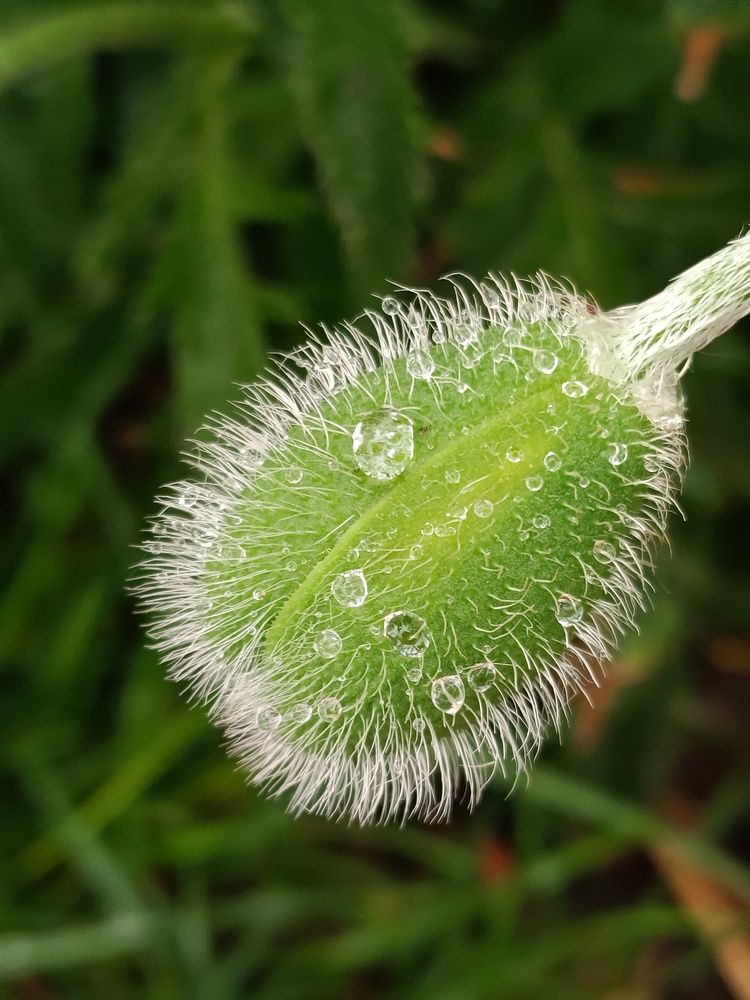 Photograph by Ольга Пашкова