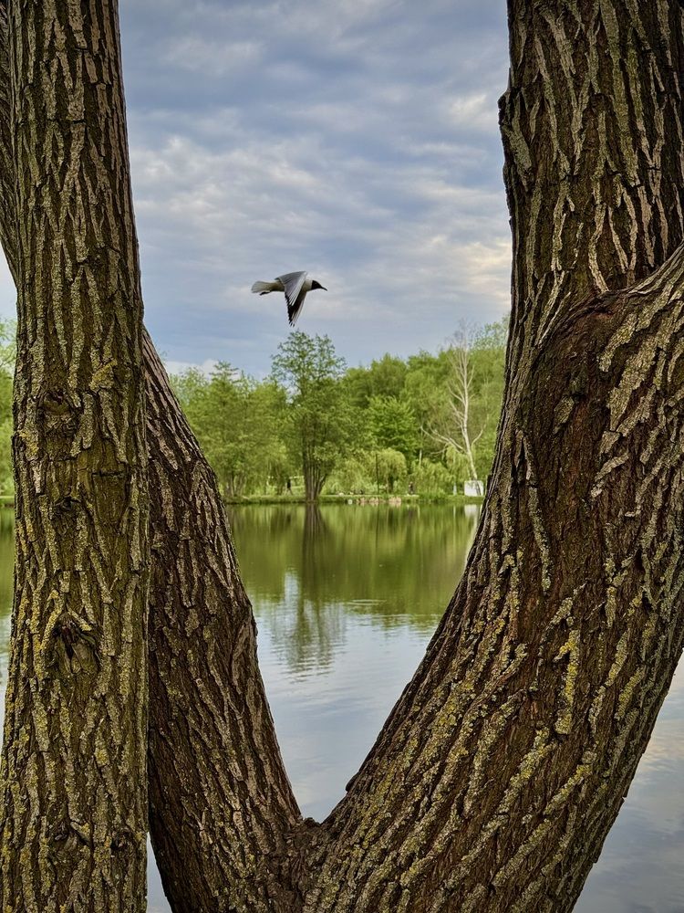 Photograph by Артур Григорян