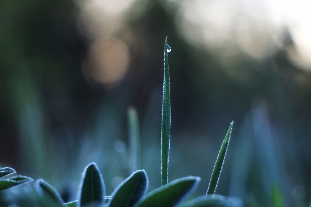 Photograph by Инна Карасева