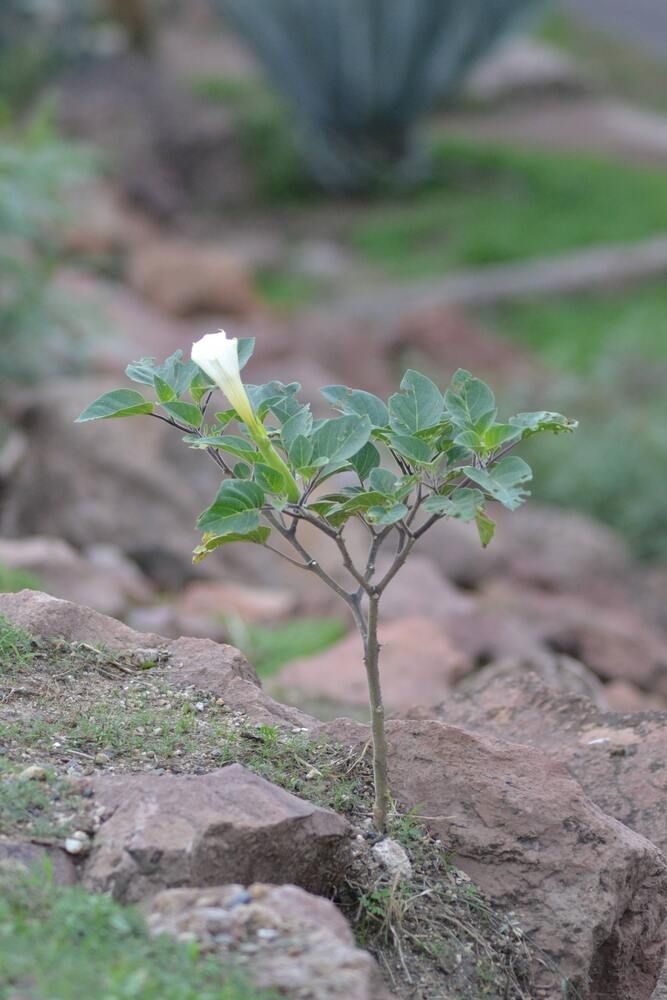 Photograph by Pablo Cesar Gonzalez Landeros