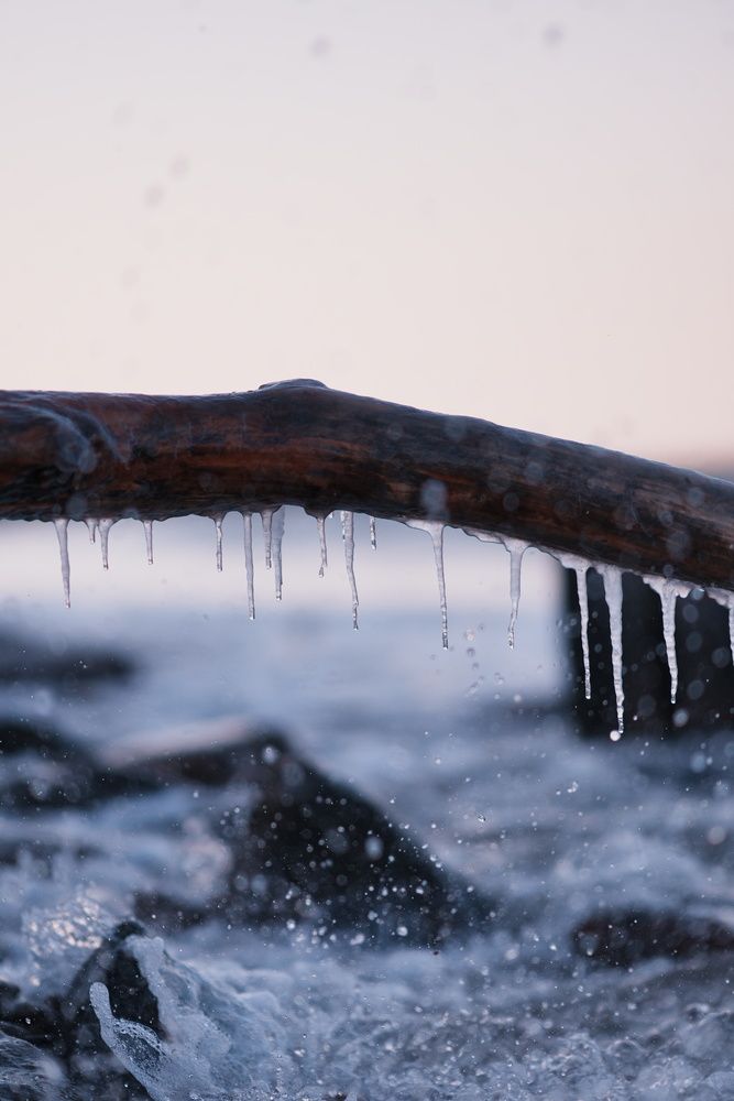 Photograph by Анастасия Пьянкова