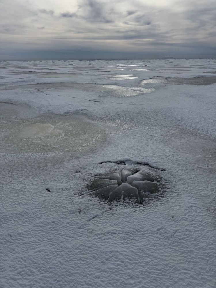 Photograph by Бондаренко Светлана