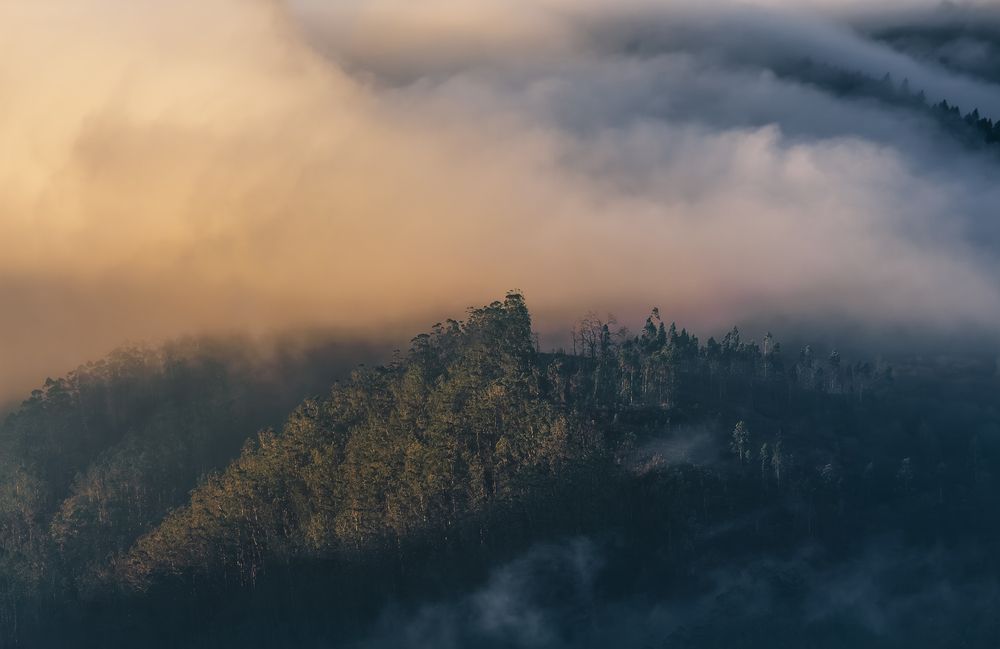Golden Summit: An Island in the Mist