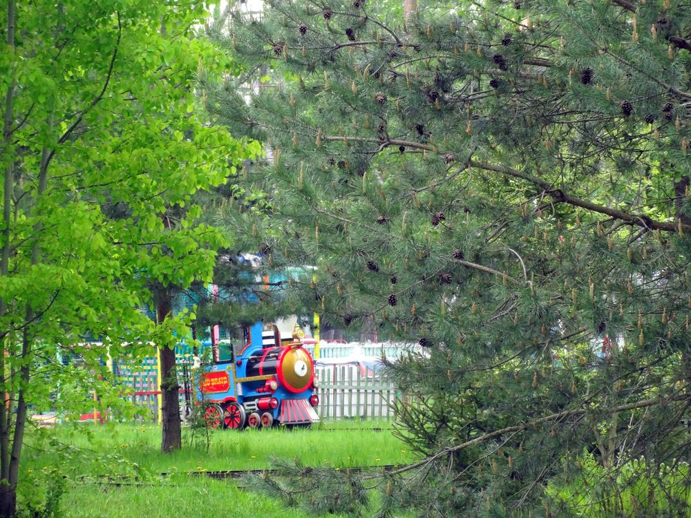 Photo #13586499