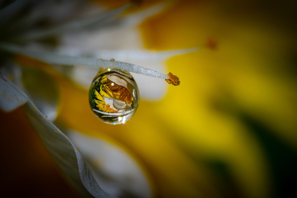 Photograph by Николай Фонарёв