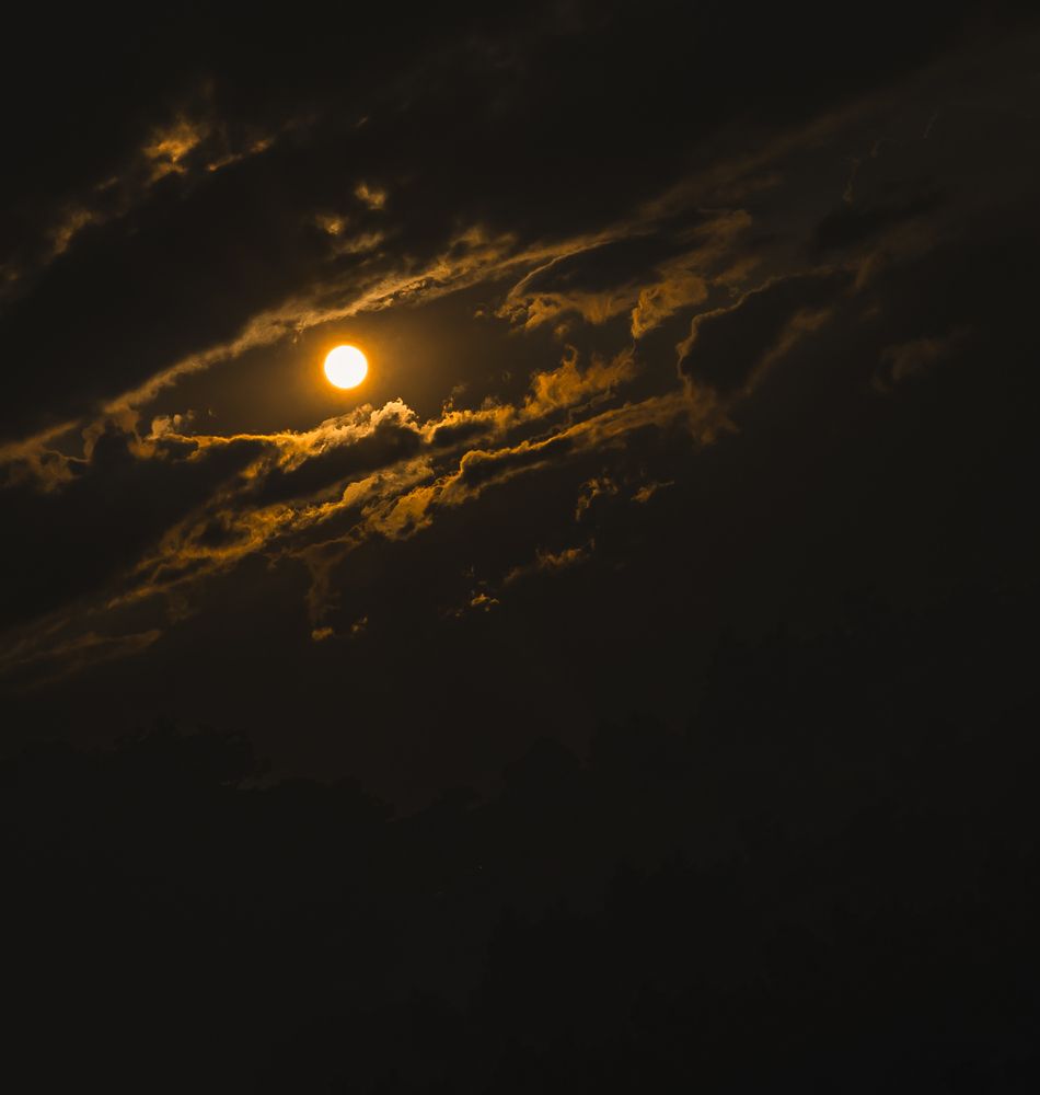 Photograph by Abdullah Ahmad