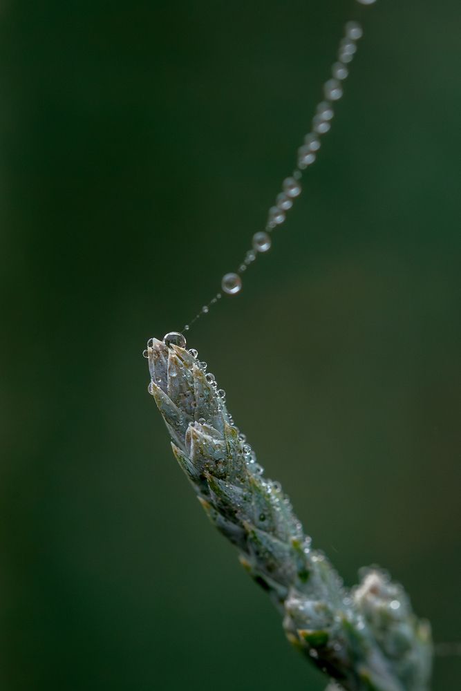 Photograph by Дмитрий Казачек