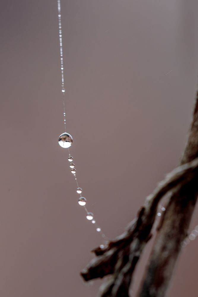 Photograph by Дмитрий Казачек