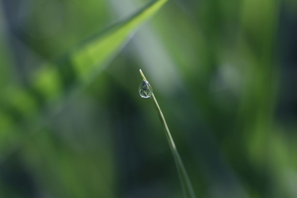 Photograph by Aleksey Maevskiy