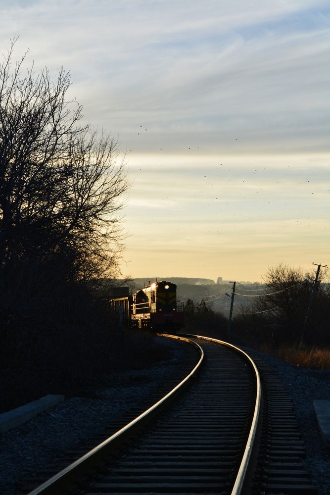 Фотография автора Daria Kirina