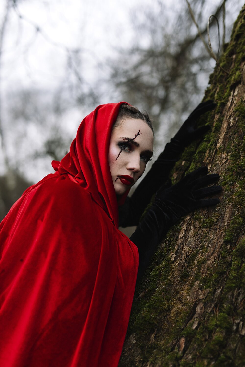 Photo #13587146