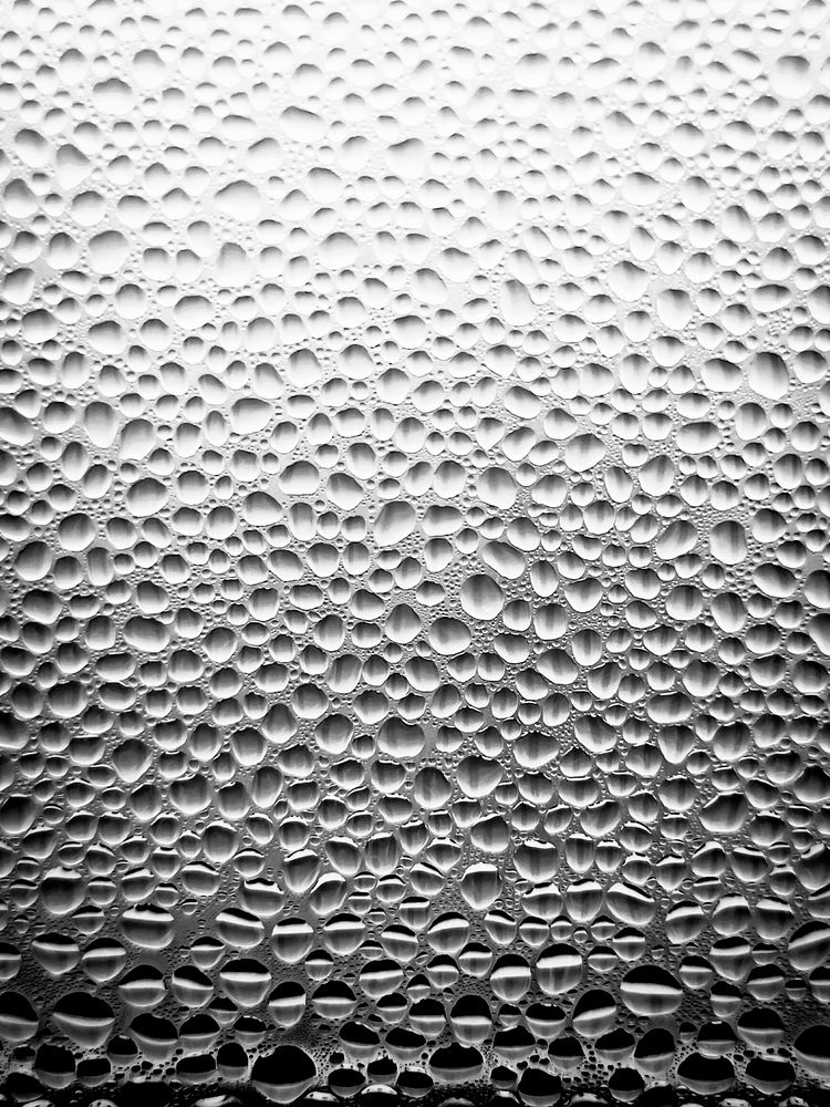 Photograph by Daria Kirina