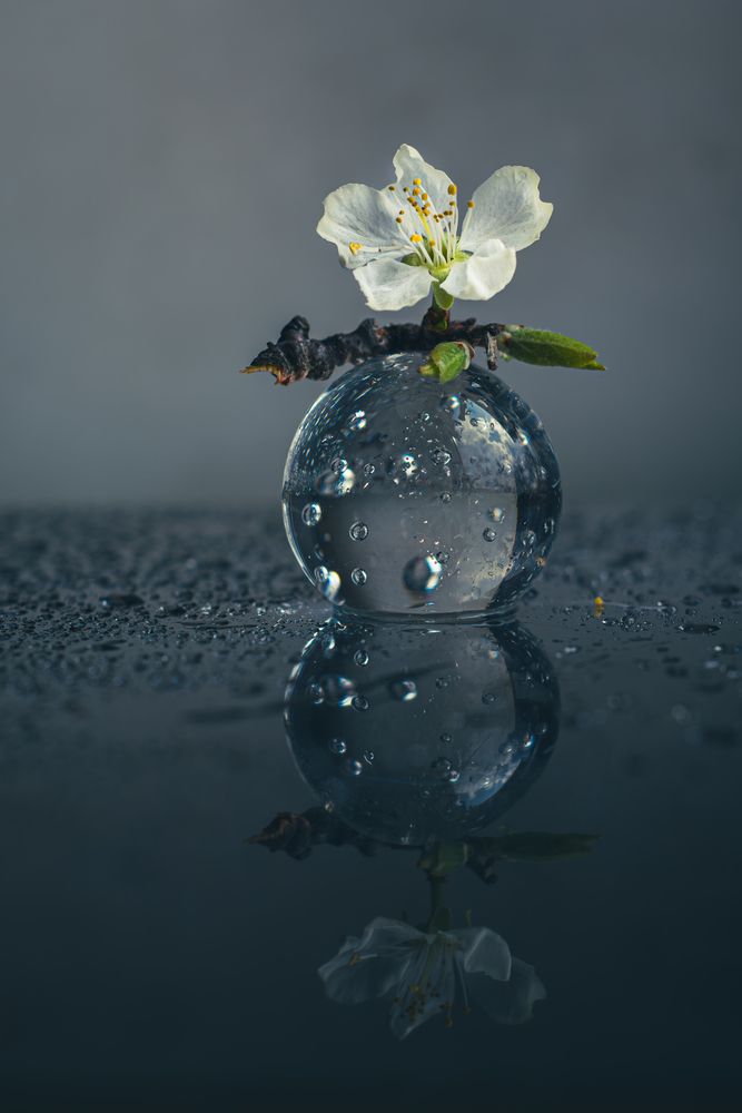 Photograph by Anna Shchurok