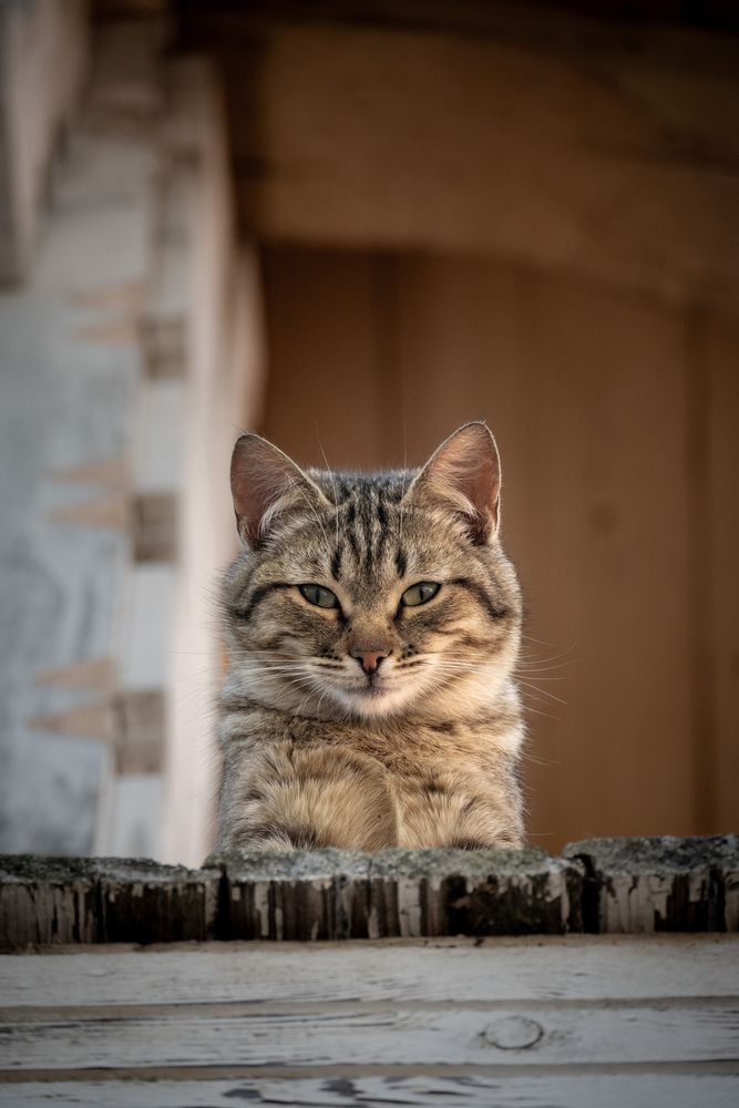 Photograph by Tatiana Shtun