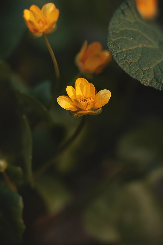 Photograph by Ольга Петрова