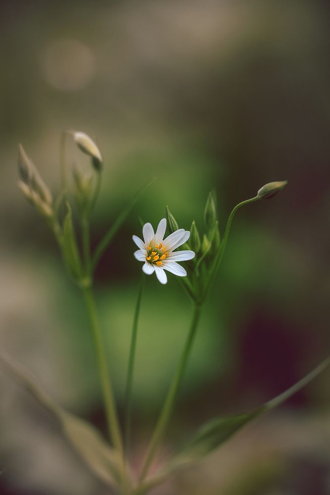 Photograph by Ольга Петрова