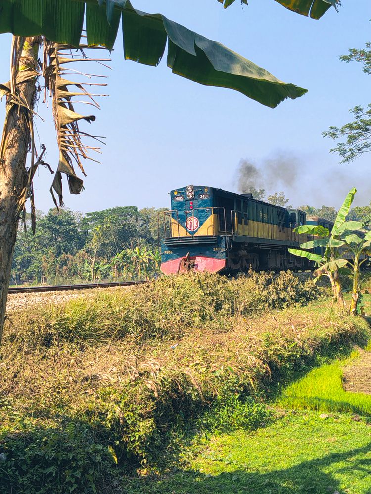 Photograph by Mohammad Jubair
