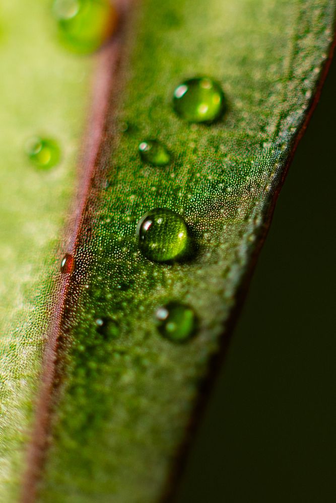 Photograph by Кемеров Игорь