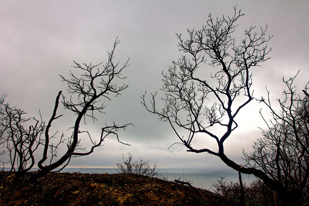 Photograph by Наталья Алхимова