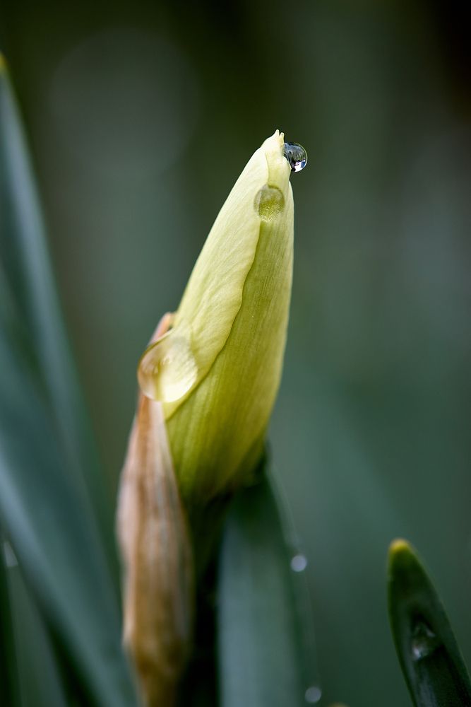 Photograph by Дмитрий Казачек